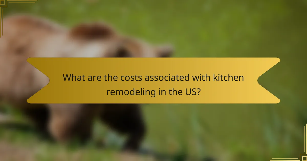 What are the costs associated with kitchen remodeling in the US?