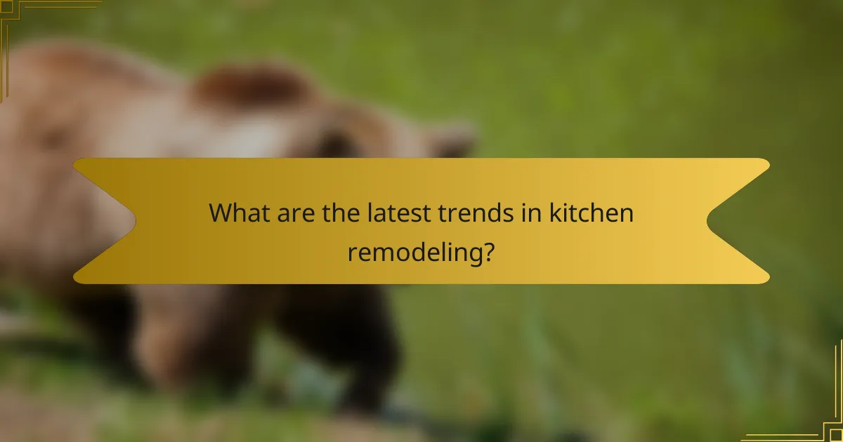 What are the latest trends in kitchen remodeling?